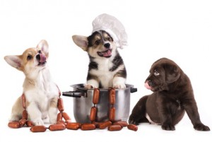smoked sausages and dogs