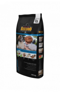 belcandojunior