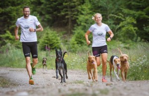 Bellfor Gelenke und Knochen Bewegung