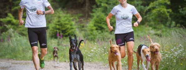 Bellfor Gelenke und Knochen Bewegung